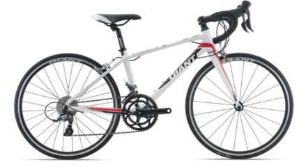 捷安特自行車(chē)加盟怎么樣