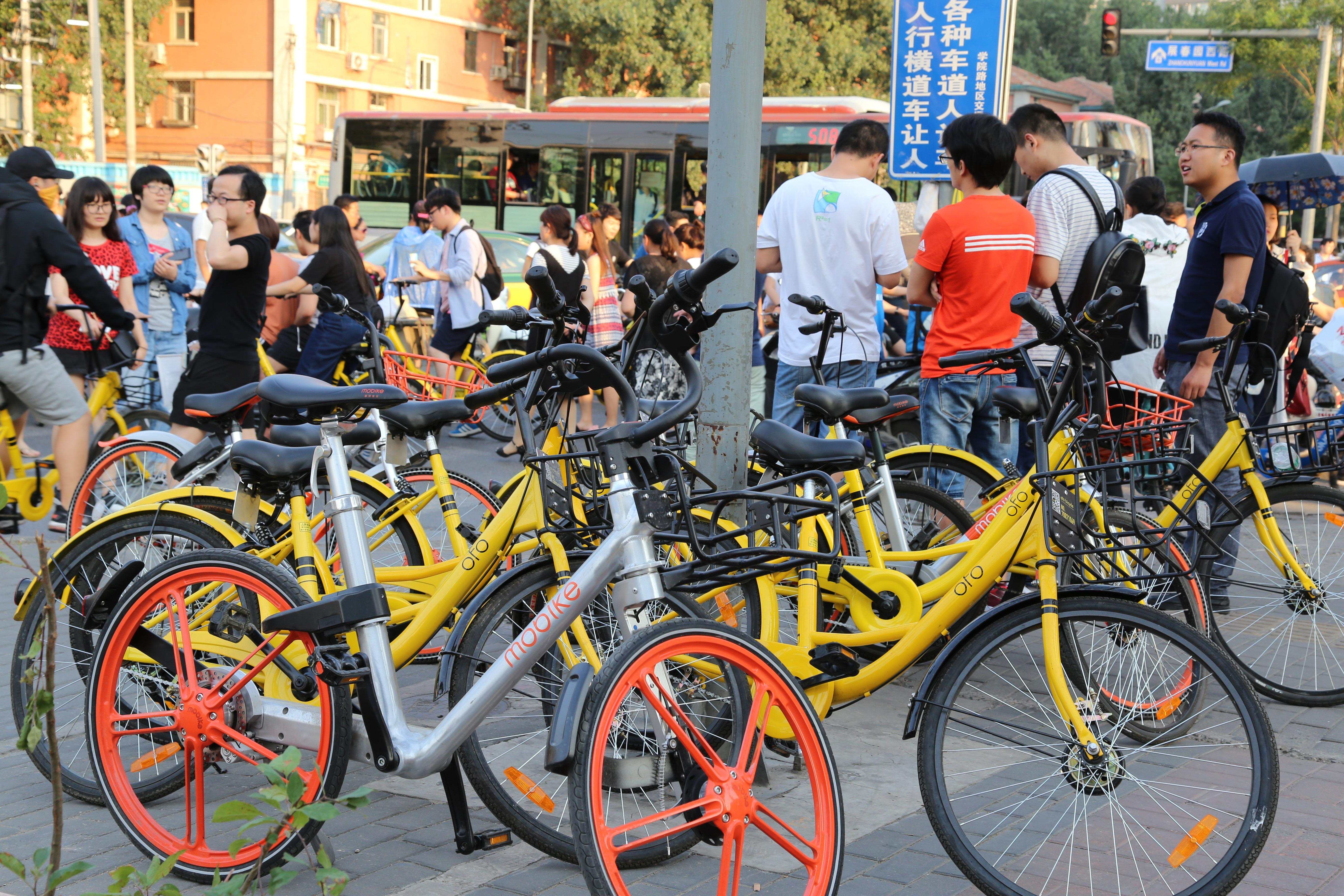 城市里的"搬運(yùn)工":共享單車(chē)調(diào)度員