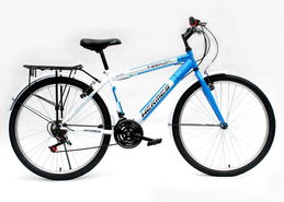 麥?zhǔn)邢蜿?yáng)自行車(chē)